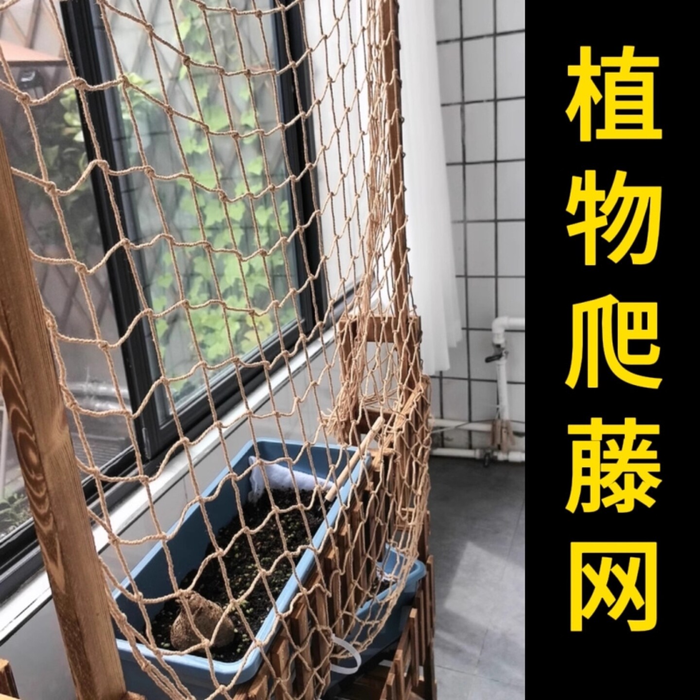 绳子爬藤山乌龟爬藤植物软网格攀爬牵引专用月季蔷薇绿植藤蔓爬藤