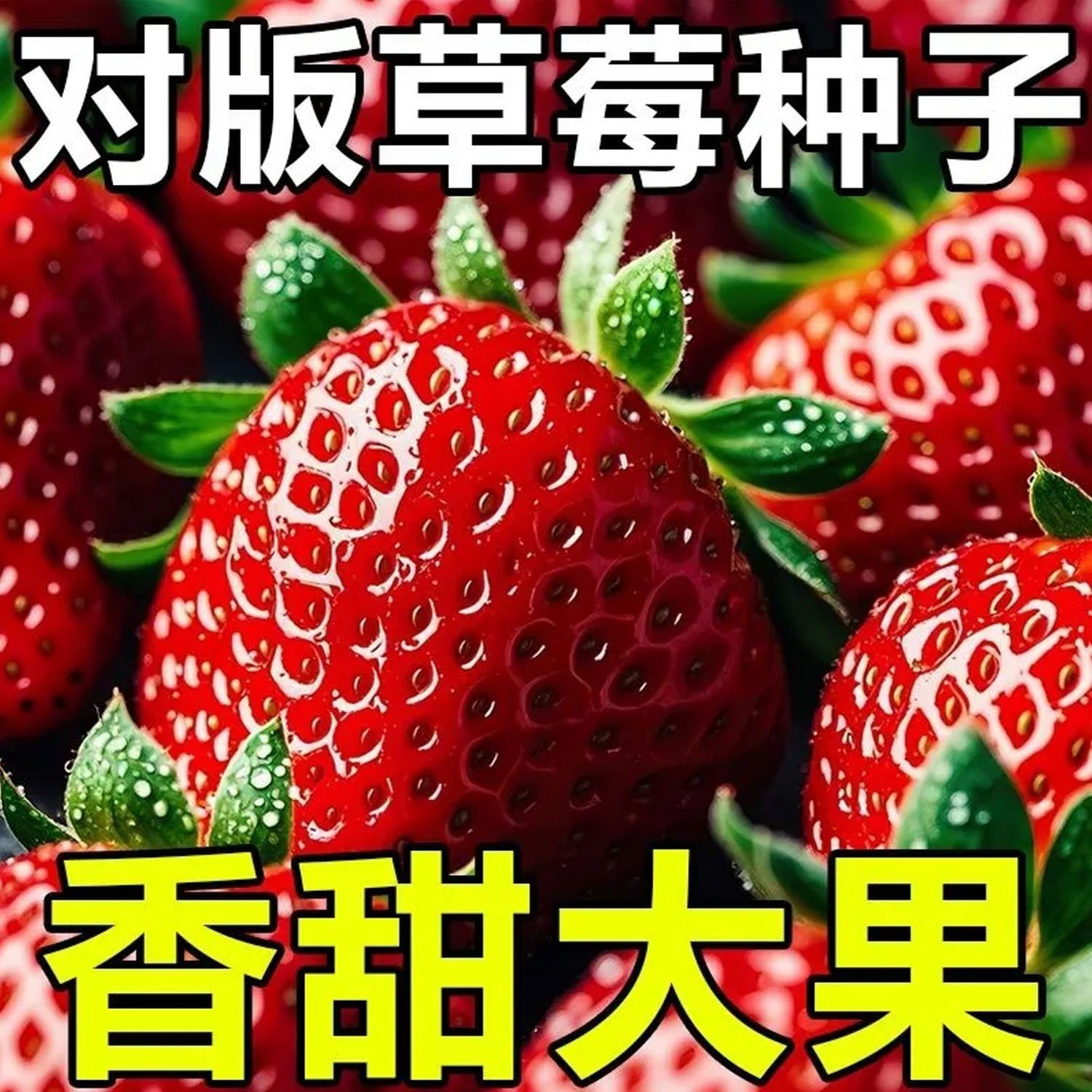 四季草莓种子四季香甜大果草莓四季易种阳台盆栽水果蔬菜种籽