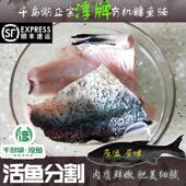 千岛湖正宗淳牌有机鳙鱼腩新鲜食用顺丰冷链冻品不带冰单包500g