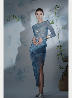 Melinda Li【青花瓷影】英国定制印花薄透网纱皮肤衣打底衫半裙