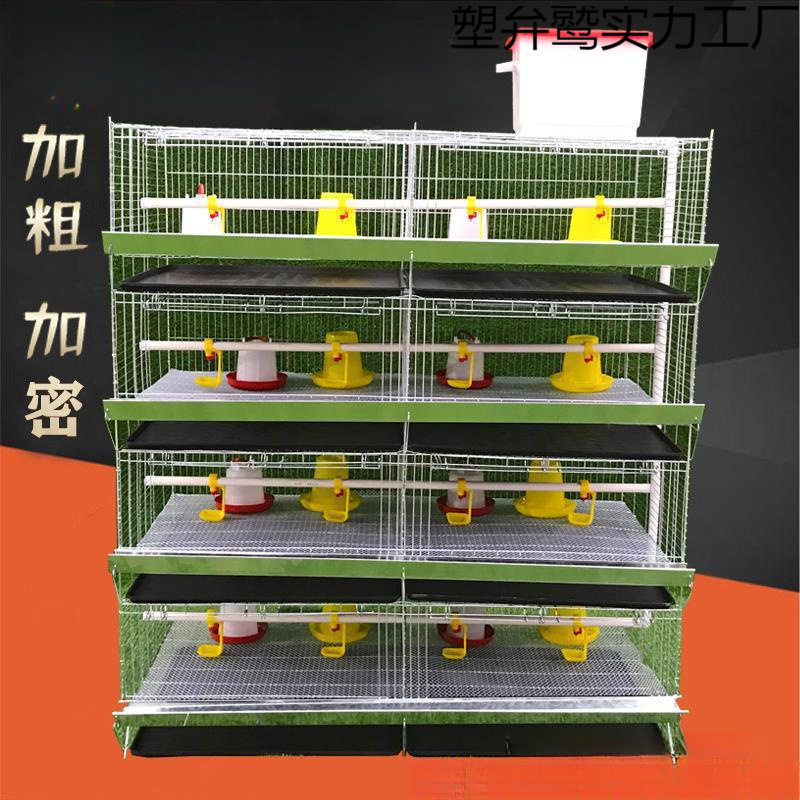 育雏笼加粗加密四层一体小鸡笼立式大型养殖鸡鸭鹅笼鸡舍用品设备