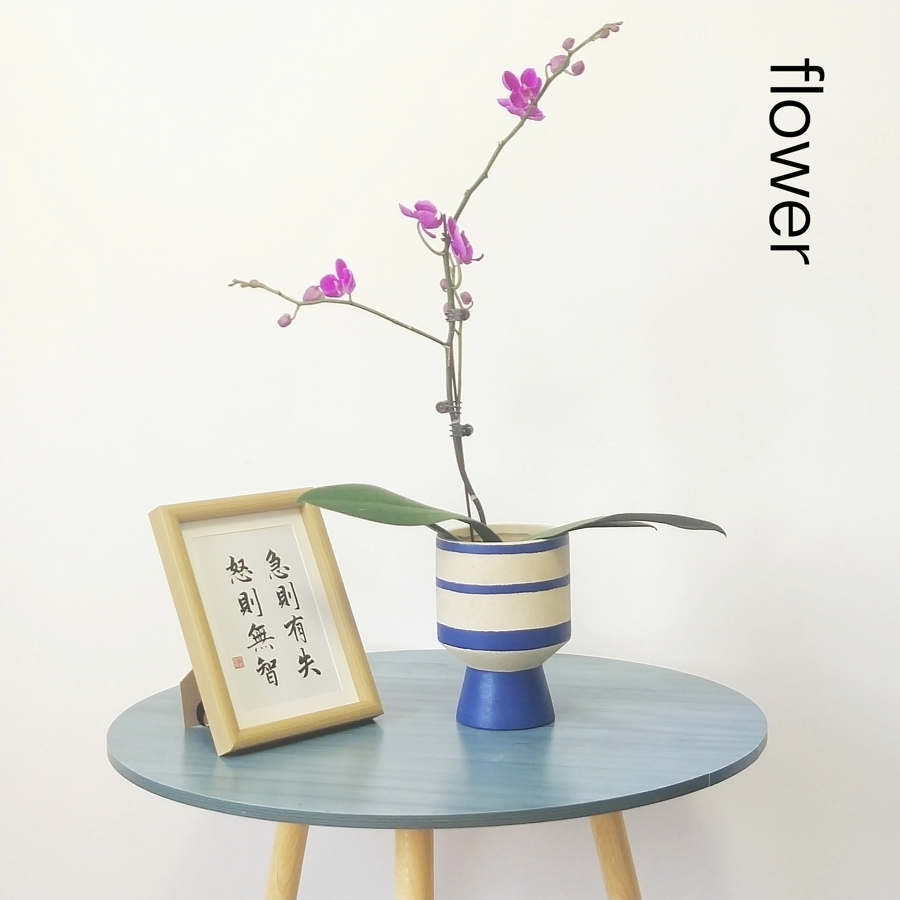 欧式ins风陶瓷花盆现代简约创意个性家用客厅插花绿植盆栽花盆