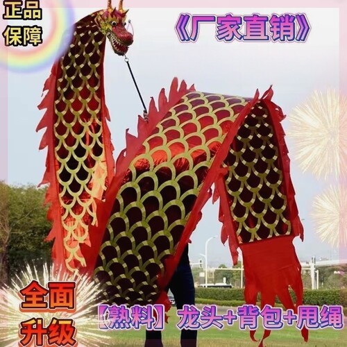 广场健身龙舞龙彩带甩彩龙彩条初学成人老年烫金带球运动耍龙节目