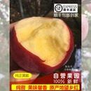 顺丰 秋实月商标辽南富硒望乡红苹果原产地100%新鲜自营果园 包邮