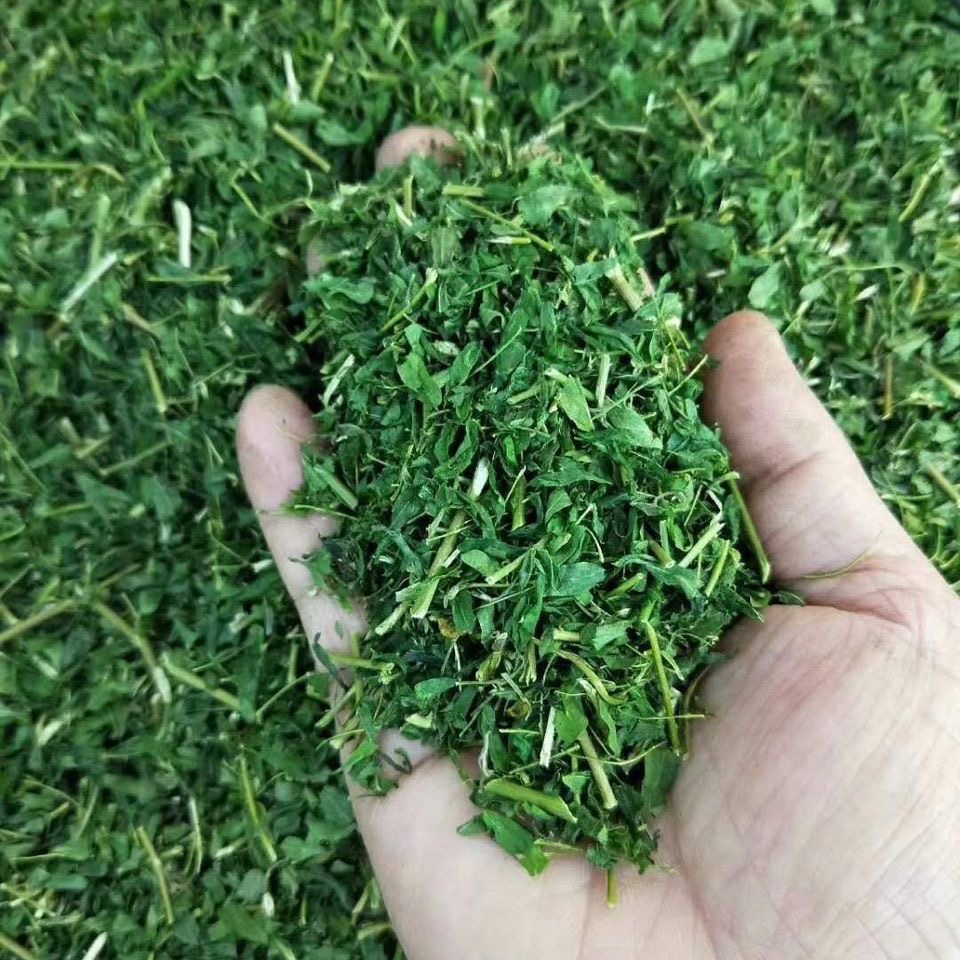 广东特产 护肝茶清肝明目养肝茶抽烟喝酒熬夜去肝火护肝250g