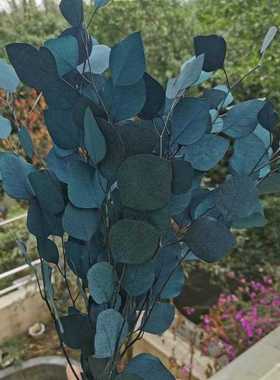 80g/lot,Natural Preserved Eucalyptus Leaves Bouquet, Eternal