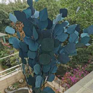 80g/lot,Natural Preserved Eucalyptus Leaves Bouquet, Eternal