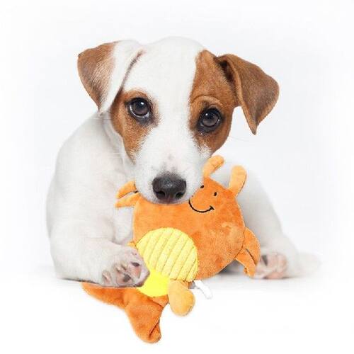 Pet Plush Dog Toys Cute Pet Dog Chew Toys Animals Dog Cat