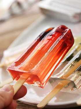 Popsicle Mold Stainless Steel Ice Cream Mold with Popsicle H