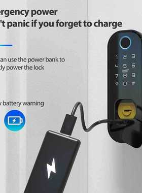 Tuya WiFi Smart Lock Waterproof Fingerprint Lock Digital Cod