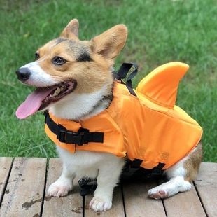 Dog Clothes Summer Dog Life Vest Shark Pet Life Vest Jacket