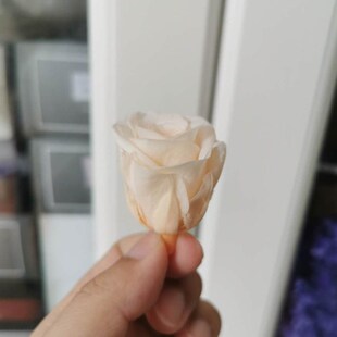 2-3CM/21pcs,Grade B Mini Preserved Roses Heads,Beauty And Th