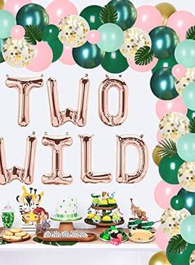 Two Wild Jungle Birthday Decorations Girl Safari Theme Ballo