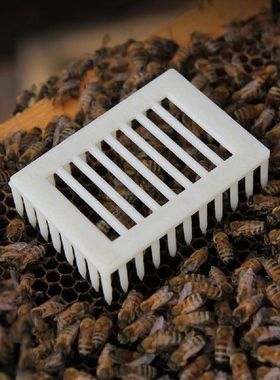 30Pcs Bees Tools Plastic Bee Imprison Queen Cage Rearing
