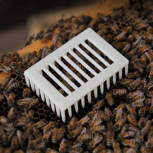 30Pcs Bees Tools Plastic Bee Imprison Queen Cage Rearing