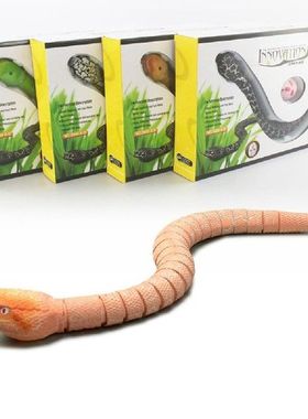 Rc Snake Toy And Egg Rattlesnake Animal Trick Terrifying