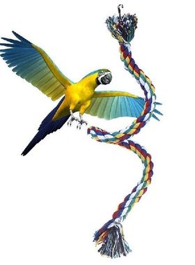 50cm Rope Braided Pet Parrot Chew Rope Perch Coil Bird Cage