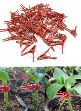 50pcs Melon Vegetable Graft Clips Flat Mouth Watermelon
