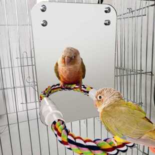 Parrot Pet Fun Mirror Toy Cockatiel Small Birds Parrots Bit