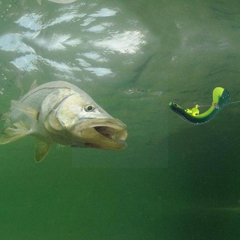 Luya Loach Fake Bait Simulation Twitch Fish Soft Worm Can