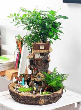 Succulent Planter Flower-Pot Sculpture Miniature Fairy Treeh