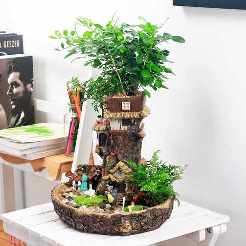 Succulent Planter Flower-Pot Sculpture Miniature Fairy Treeh