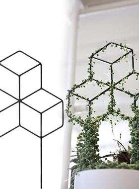 Plant Supports Exquisite Workmanship Square Shaped Wide