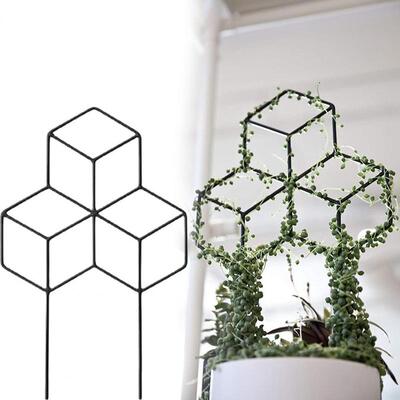 Plant Supports Exquisite Workmanship Square Shaped Wide