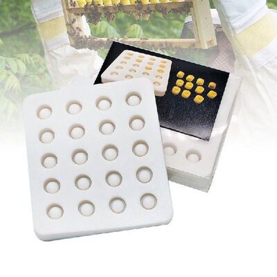 Beekeeping System Silicone Mold For Queen Bee Cells Wax