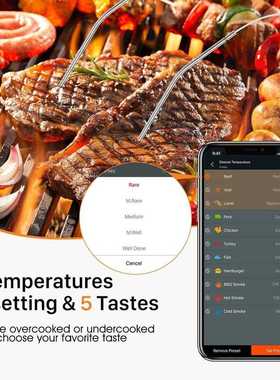 NanoL Digital Wireless BBQ Meat Thermometer Grill Oven Therm