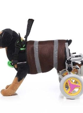 Disabled Dog Scooter Wheelchair with Handle for Small Dogs
