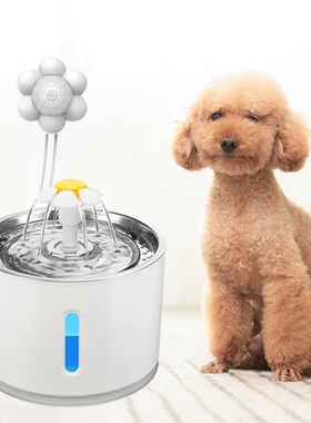 Dog Automatic Feeder Cat Water Fountain  Cat Water