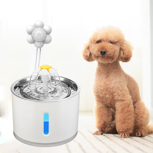 Dog Automatic Feeder Cat Water Fountain  Cat Water