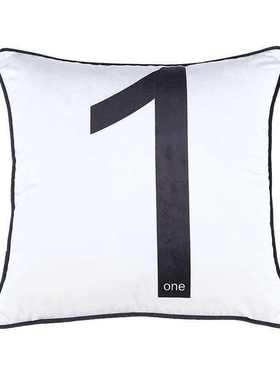 0254 digital F printing couch pillow bedside cushion livin