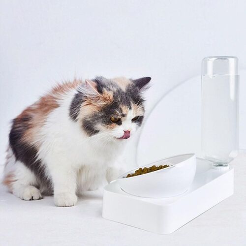 Cat Feeder Bowl Tableware Dogs Food-Pet with Holder Dog-Feed
