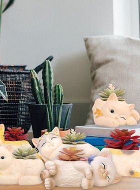 Indoor Plant Pots Lovable Flower Pot With Drainage Holes