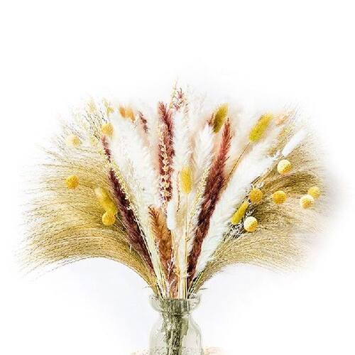 Pampas Grass Small 17Inch, 120 Pcs Dried Flowers Pampas