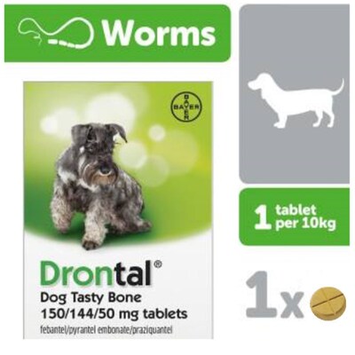 Drontal Plus Allwormer for All Size Dogs and Puppies - Dog W
