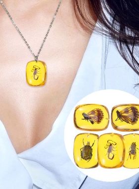 Amber Specimen Fossil Specimens Pendant Insects Crystal