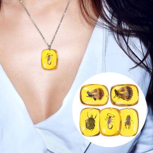 Amber Specimen Fossil Specimens Pendant Insects Crystal