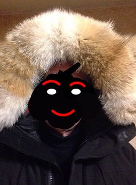 Custom 45-80cm  genuine fur coyotes collar men N3B military