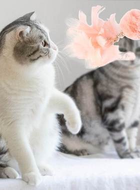 Funny Cat Teaser Toys Novelty Cat Catcher Rod Interactive Fe