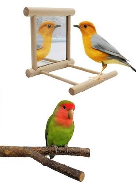 Bird Mirror With Perch Parrots Hanging Cage Wood Stand Toy