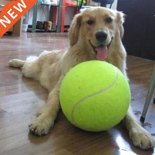 9.5 Inch Dog Tennis Ball Big Giant Pet Dog Puppy Tennis