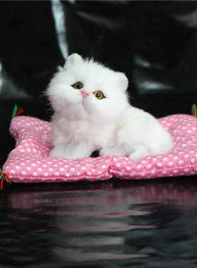 Simulation Plush Cat Electronic Pet With Lifelike Sounding