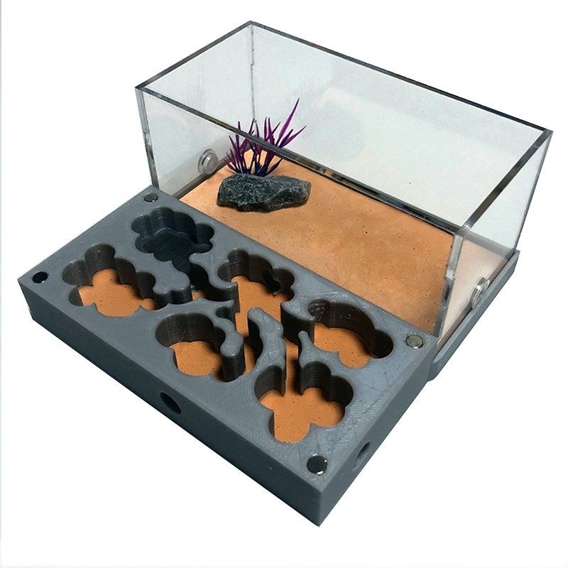 3d acryl flat ant farm ecological ant nest with feeding area