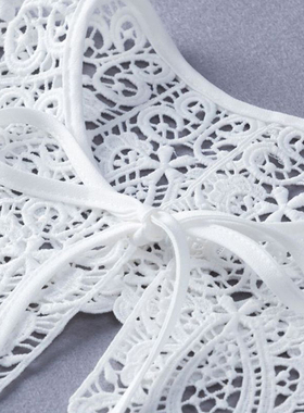 Vintage Palace Style Womens Doll False Fake Collar Hollow Ou