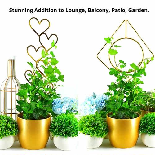 Plants Climbing Stand Rust Proof Durable Plant Holder for