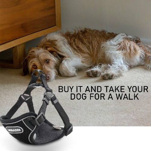 Pet Leash Breathable Comfortable Walking Kitten Dog Chest Ve