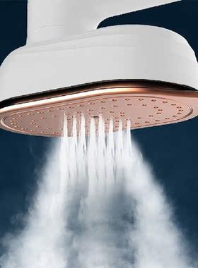 Portable Garment Steamer Dry Wet Clothes Fabric Ironing